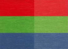 W. D. Lockwood Water Based Concentrated Dye Family