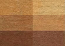 W. D. Lockwood Water Based Maple Dye Family