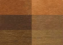 W. D. Lockwood Water Based Walnut Dye Family